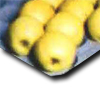 Alvéolos Celulosa Fruta